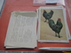 Delcampe - 11 Cards Chromos 10cmX15cm  - Advertsing Around 1950, Chicken Cock, Rooster, Poultry, Kip, Most Backs With Glue Remains - Animals