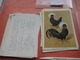 Delcampe - 11 Cards Chromos 10cmX15cm  - Advertsing Around 1950, Chicken Cock, Rooster, Poultry, Kip, Most Backs With Glue Remains - Animals