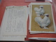 Delcampe - 11 Cards Chromos 10cmX15cm  - Advertsing Around 1950, Chicken Cock, Rooster, Poultry, Kip, Most Backs With Glue Remains - Animals