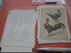 Delcampe - 11 Cards Chromos 10cmX15cm  - Advertsing Around 1950, Chicken Cock, Rooster, Poultry, Kip, Most Backs With Glue Remains - Animals