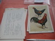 Delcampe - 11 Cards Chromos 10cmX15cm  - Advertsing Around 1950, Chicken Cock, Rooster, Poultry, Kip, Most Backs With Glue Remains - Animals