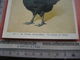 Delcampe - 11 Cards Chromos 10cmX15cm  - Advertsing Around 1950, Chicken Cock, Rooster, Poultry, Kip, Most Backs With Glue Remains - Animals