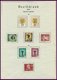 Delcampe - SAMMLUNGEN **,o, *, Recht Komplette, überwiegend Postfrische Sammlung Berlin Von 1954-83 Auf Leuchtturmseiten, Fast Nur  - Collections
