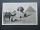 AK Echtfoto 1933 Ägypten Cairo Prayer Near The Great Sphinx. Kamel / Gebet. Gesendet Nach Hamburg - Kairo