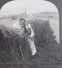 CARTE STEREOSCOPIQUE  - NORWAY - LOVE SCENE IN A NORWEGIAN HAYFIELD,  STEREO PHOTO - Stereoskopie