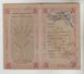 DOCUMENT OFFICIEL - CARTE INDIVIDUELLE D'ALIMENTATION N° 22041 DU 20/12/1918 PARIS - Autres & Non Classés