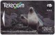 NEW ZEALAND A-703 Magnetic Telecom - Animal, Seal - 141DO - Used - New Zealand