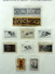 Delcampe - USA Collection 1870-1976 In Schaubek Binder/album Used/gebruikt/oblitere - Verzamelingen (in Albums)