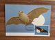 Sao Tome And Principe. 1981. The Maximum Card. Fauna. Animals - Bats