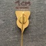 Badge (Pin) ZN006015 - Swimming Rowing / Kayak / Canoe Sailing Rugby Tennis Posnania 1907 - Canoë