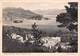 Cartolina Magognino Sopra Stresa Panorama 1951 - Verbania