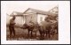 Macedonia: Üsküb (Shkup / Skopje), Buffaloes And His Master Cca. 1925 - North Macedonia