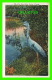 OISEAUX - THE GREAT BLUE HERON, FLORIDA -  DADE COUNTY NEWSDEALERS SUPPLY CO - - Oiseaux