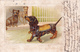 CPA Gaufrée Chien Dog Teckel Dackel Dachshund  Basset Vienne Viennoise (sans N°) Embossed (2 Scans) - Dogs