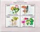 Comores MNH Flowers Sheetlet And SS - Other & Unclassified
