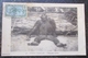 Congo Français Chimpanzé Femelle   Cpa Timbrée - French Congo