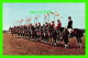 CHEVAUX - HORSES - BEMGAL LANCERS OF HALIFAX, NOVA SCOTIA -  MIRRO-KROME CARD - - Chevaux