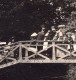 Campagne Anglaise Golders Green Londres Pont Et Etang Ancienne Photo Amateur 1900 - Places