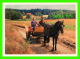 CHEVAUX - HORSES -  GMINA PARCHOWO - PROMENADE EN BUGGY - - Chevaux