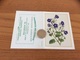 Calendrier 2003 « Pharmacie Des Coteaux St Laurent De La Prée (17) / Whitlavia Grandiflora (fleur)» - Small : 2001-...