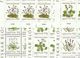 1980 FAROER Faroe Danimarca Denmark  FIORI  FLOWERS 20 Serie Di 5v. MNH** In Foglio (42/46) Sheet - Full Sheets & Multiples