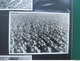Delcampe - Drittes Reich / Hitler / Göbbels / SA / Miltär / Paraden Usw... 2 Ordner Mit 230 Fotos / REPROS Aus Dem Jahre 1965 - Autres & Non Classés