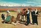 Baalbeck (Libano, Lebanon) General View Of Baalbeck And Camel-drivers, Vue Generale De Baalbeck Et Chamelliers - Liban