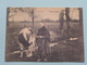 COWS In The PICTURE ( Hand Miltenburg / Reimer Strikwerda ) ROODBONT > Met 5 CP / PK Copycards ( Zie Foto's ) ! - Kühe
