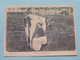 Delcampe - COWS In The PICTURE ( Hand Miltenburg / Reimer Strikwerda ) ROODBONT > Met 5 CP / PK Copycards ( Zie Foto's ) ! - Vaches