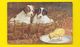 Chiots Et Poussin "Oilette" - Tuck, Raphael