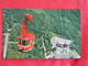 > Taiwan     Taipei-  Cableway At Wulai  ----  Ref 2745 - Taiwan