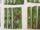 Delcampe - Telefoonkaarten - 1995 Belgacom - Digit - S97 - S108 + S116 En S117 + 2x Specials! - Collections