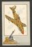 Chromos Tintin Collection "Voir Et Savoir" L'aviation De La Guerre 1939-1945 - Autres & Non Classés