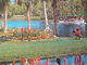 1970 ( ? )   GARDENS BY THE SILVER RIVER ......SILVER SPRINGS......FLORIDA - Silver Springs