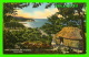 QUEBRADILLAS, PUERTO RICO - NATIVE HUT ON A HILL SIDE OVERLOOKING THE GUAJATACA RAILROAD TUNNEL - GONZALEZ PADIN CO INC - Puerto Rico