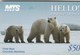 Canada - Polar Bears - Canada