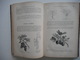 Delcampe - BOTANIQUE, PLANTES, 1885, TRAITE PRATIQUE DE BOTANIQUE, ED. LAMBERT, GRAVURES PLANTES - 1801-1900