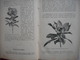 Delcampe - BOTANIQUE, PLANTES, 1885, TRAITE PRATIQUE DE BOTANIQUE, ED. LAMBERT, GRAVURES PLANTES - 1801-1900