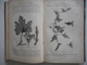 Delcampe - BOTANIQUE, PLANTES, 1885, TRAITE PRATIQUE DE BOTANIQUE, ED. LAMBERT, GRAVURES PLANTES - 1801-1900