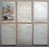 2 Scans Presse 1907 - Voyante Madame De Thèbes / Voyance Astrologie ... Prédictions Diverses Dessins De Robida 216CH4 - Non Classés