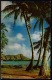 RB 1182 - 3 Postcards - Liliuokalani Park- Tree Climber - Edgewater Hotel - Hawaii USA - Honolulu