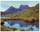 (461) Australia - TAS - Cradle Mountain & Dove Lake - Wilderness