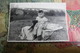 PHOTO PORTRAIT CARTE - LITTLE GIRL WITH A DOG PUPPY - 1950s - Other & Unclassified