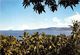 ¤¤  -   MAYOTTE   -  Vue Sur La Pointe De SAZILEY   -  ¤¤ - Mayotte