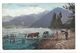 18444 -  Lac Léman Les Grangettes Vaches - Autres & Non Classés