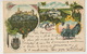 Souvenir De Cintra Litho Universal Color Lisboa  P. Used 1902 To Villejuif - Autres & Non Classés