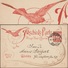 Allemagne 1900. Poste Privée Courier De Görliz. Entier Commémoratif, Clôture Des Activités. Moineau Remplaçant Le Pigeon - Sparrows