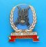 POLISH INFANTRY BATTALION ( Poland ) - Croatian War 1992. * United Nations Mission UNPROFOR * Polska LARGE ENAMEL BADGE - Army