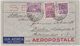 BRAZIL 1933 (4.2.) AIRMAIL COVER (Aeropostale) FRANKING SAO PAULO TO GERMANY - Autres