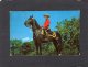 74386   Canada,   The Royal  Canadian Mounted Police In Canada,  VGSB  1958 - Windsor